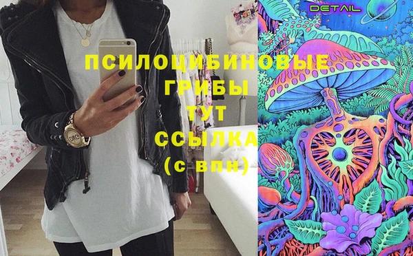 дживик Балахна