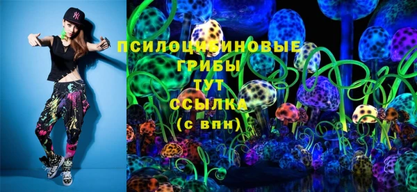 дживик Балахна