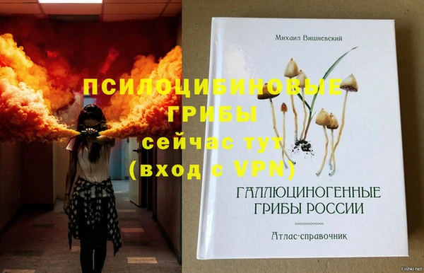 дживик Балахна