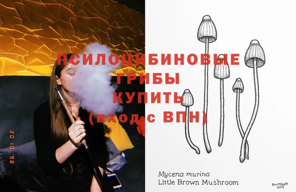 ПСИЛОЦИБИНОВЫЕ ГРИБЫ Баксан