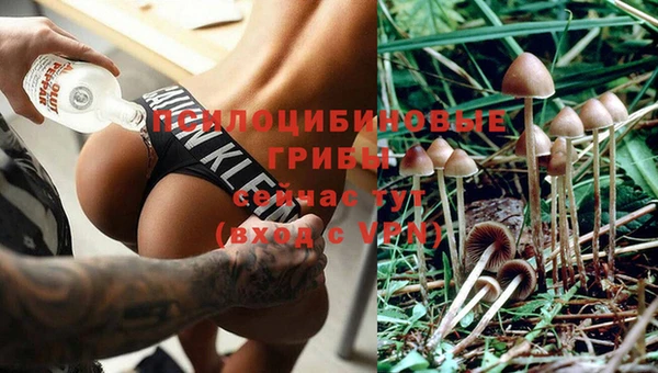 дживик Балахна